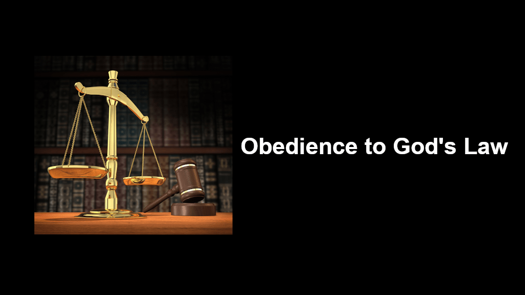 Obedience to God's Law Image
