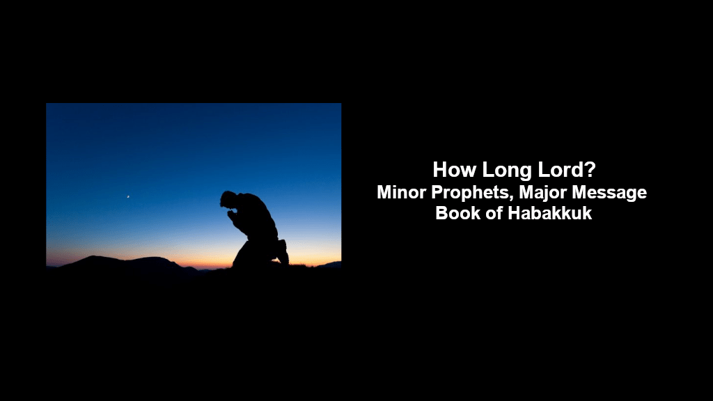 How Long Lord? Image